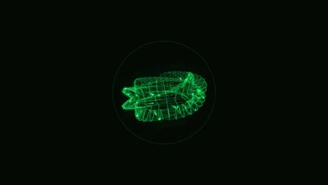 Abstract green wireframe energy orb rotating in dark space for tech and sci.. Stock-Footage 342431494