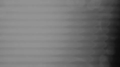 Abstract grey background with horizontal wavy lines and subtle texture Stock Footage 345045807