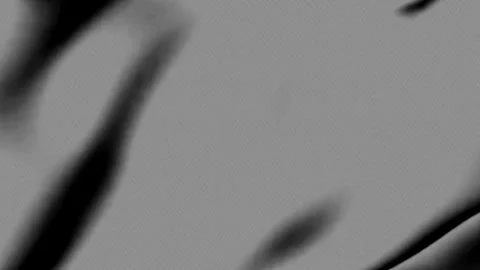 Abstract grey background with soft blurred dark shapes and textures Stock Footage 343690175