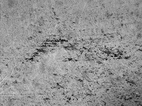 Abstract grey concrete surface texture with distressed grunge background, r.. 库存照片