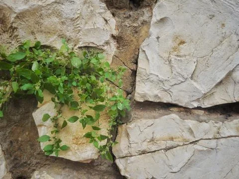 Abstract Grey Stone Texture for Background Stock Photos