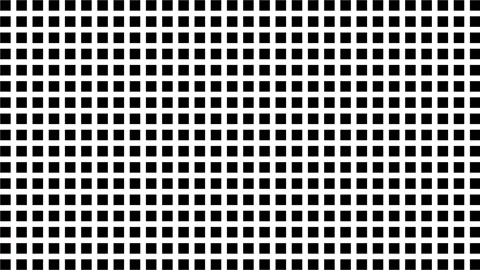 Abstract Grid Pattern Animation with Morphing Squares and Circles. Stock Footage 339150041
