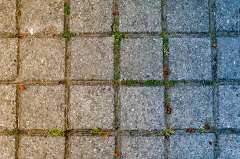 Abstract ground texture. Stock Photos