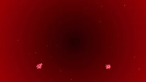 Abstract growing Christmas Tree Stock Footage 82253297