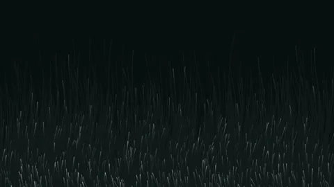 Abstract Growing Glowing Fiber Optic Lines Motion Background Video stock 341904698