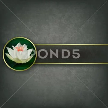 Abstract grunge background with lotus Stock Illustration