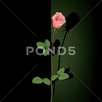 Abstract grunge background with rose Stock Illustration