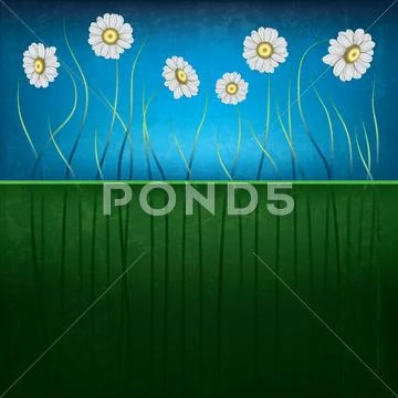 Abstract grunge floral background with chamomiles Stock Illustration