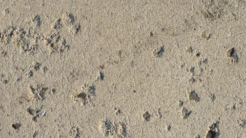 Abstract grunge sand plaster wall texture background loop in 4k ultra hd Stock Footage 346778637