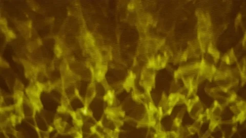 Abstract grunge texture background Video stock 146815513