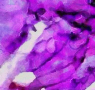 Abstract grunge texture closeup background. Oil painting design pattern. Vint Stock-Fotos