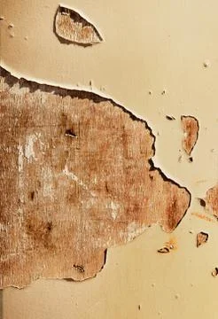 Abstract grunge texture Stock Photos