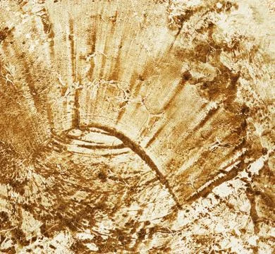 Abstract grunge texture Stock Photos