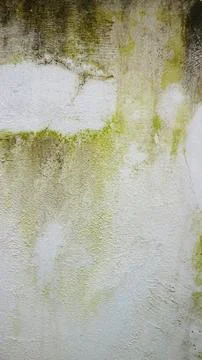 Abstract grunge wall texture with peeling white plaster and green moss stai.. Stock Photos