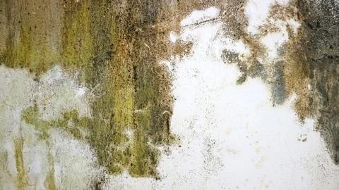 Abstract grunge wall texture with peeling paint, stains, mossy green patche.. Stock Photos