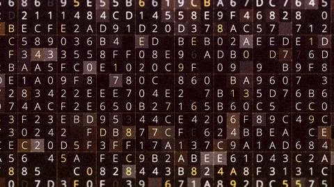 Abstract hacking background, programming code strings changing on screen Stock Footage 144736665