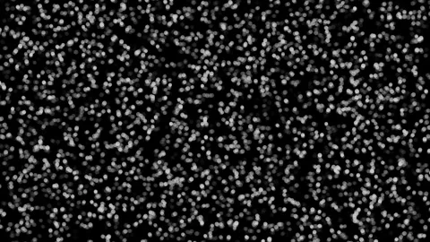 Abstract halftone dots pattern on black background. 動画素材 305901774