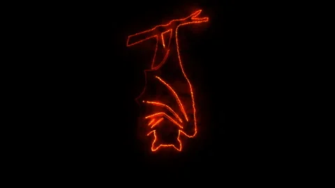 Abstract halloween bat hanging upside down, drawn with glowing fiery orange.. Stock Footage 339067161