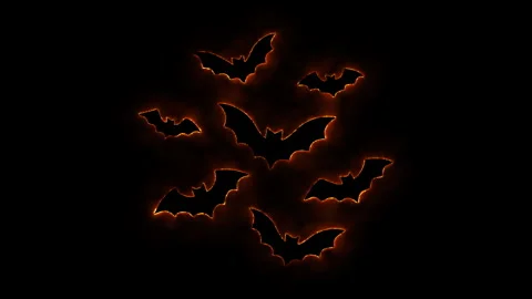 Abstract halloween bats flying with burning and glowing effect on black bac.. Stock Footage 339072875