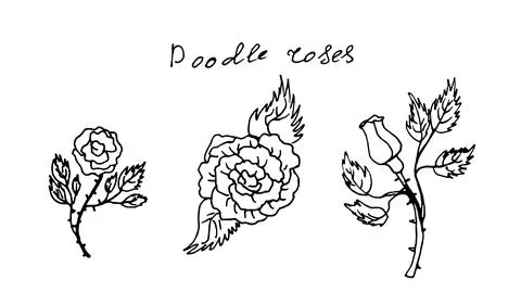 Abstract Hand Drawn Set of Roses. Vector sketch illustration. Doodle style. Stock Illustration