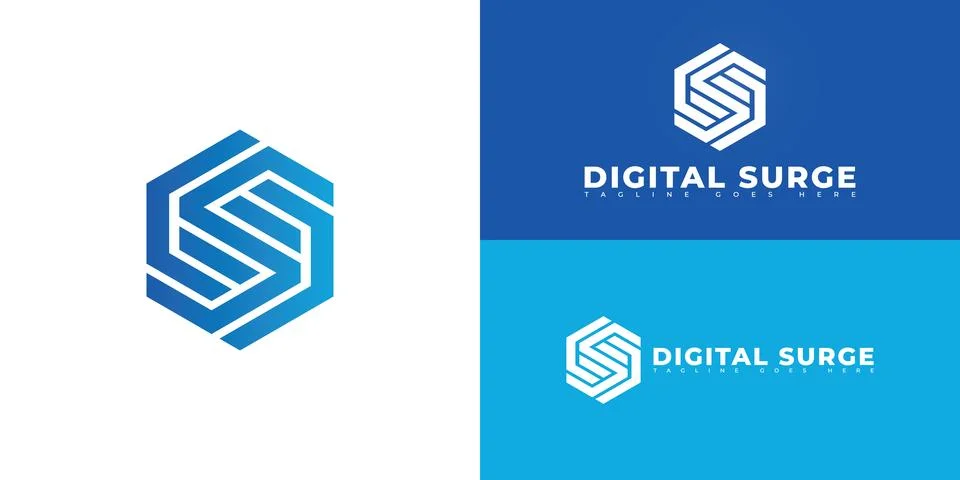 Abstract hexagon initial letter DS or SD in blue color Stock Illustration