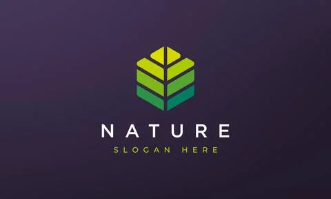 Abstract hexagon leaf geometry logo concept in simple dan modern shape Stock Illustration