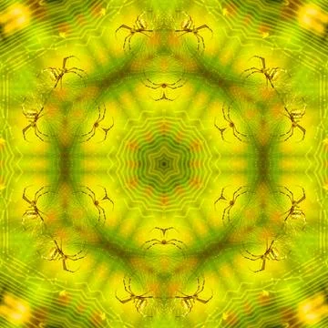 Abstract hexagon seamless geometric patterns background - Geometric circle -  Stock Illustration