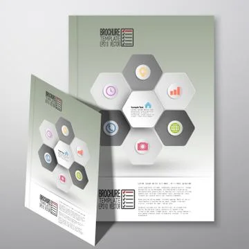 Abstract hexagonal infographic pattern. Brochure, flyer or report for business Stockillustratie