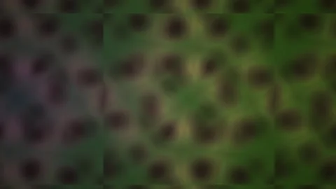 Abstract Hexagonal Pattern Backgrounds in Purple and Green Hues. Stock Footage 333917327