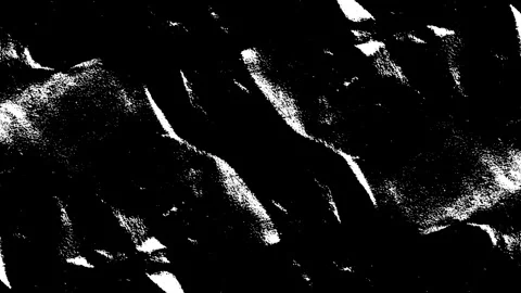Abstract high contrast black and white texture with organic shapes and shar.. Stock Footage 346559341