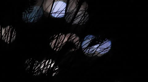 Abstract Highway Night Lights Vídeo Stock 46584739