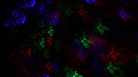 Abstract holiday background of blinking lights with complex web pattern Stock Footage 72606196