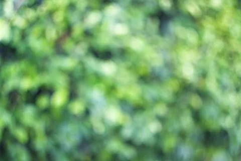 Abstract holiday background Stock Photos