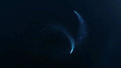 Abstract holiday background with shining blue sparkling particles. Stock Footage 101903286