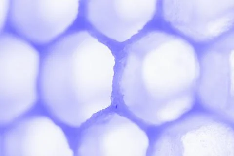 Abstract honeycomb cells pattern in blue tones Stock Photos