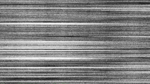 Abstract horizontal lines texture black and white grainy noise background d.. Stock Footage 337958856