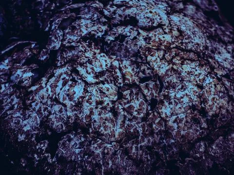Abstract HUBA macro texture background Stock Photos