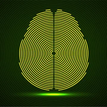 Abstract human brain of radial lines, vector Stock Illustration
