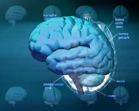 Abstract human brain rotating in light blue screen Stock-Footage 255886532