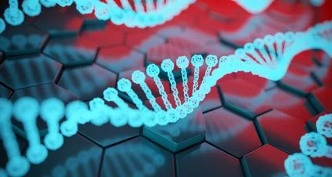 Abstract Human Dna Detailed Structures On Hexagon Background. 3D Rendering イラスト素材