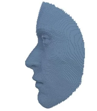 Abstract human face constructing from cubes Stock Illustration