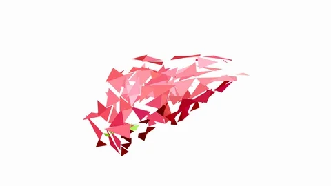 Abstract human liver animation design. Polygonal style on white background. Stock Footage 128748688