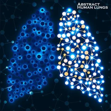Abstract human lungs, molecule structure. Vector illustration. Eps 10 Stock Illustration