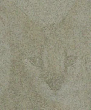 Abstract Hypnotic Cat look Stock-Fotos