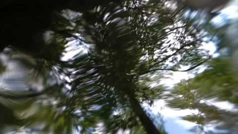 Abstract hypnotic pattern. View of the green tree above the river from the Video stock 149437647