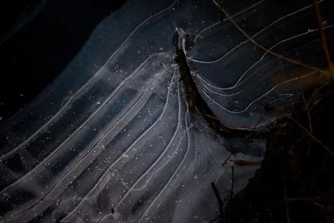 Abstract Ice Patterns with Branch and Frozen Wave Lines, Macro Stock Photos