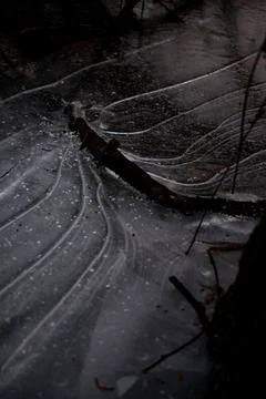 Abstract Ice Patterns with Branch and Frozen Wave Lines, Macro Stock Photos