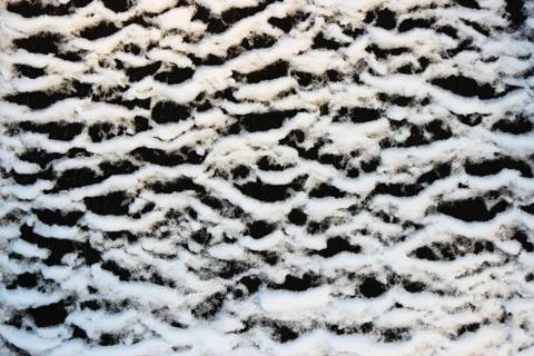 Abstract Ice texture Winter background Gratis Stockfotos