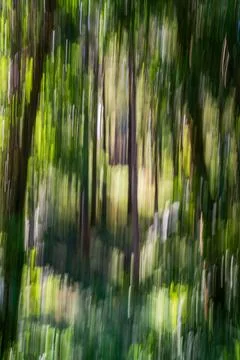 Abstract ICM motion blurred forest background with green and brown verticals Fotos de archivo