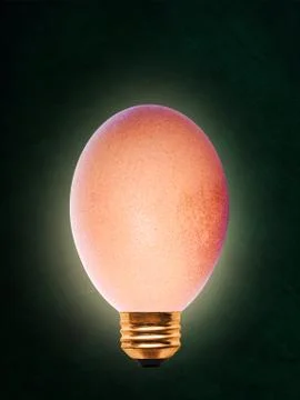 Abstract Idea of Brown Egg in the Form of Electric Light Bulb Stock Photos